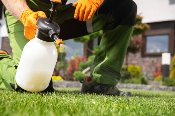 Best Mosquito Control Services  in Stonebridge, NJ
