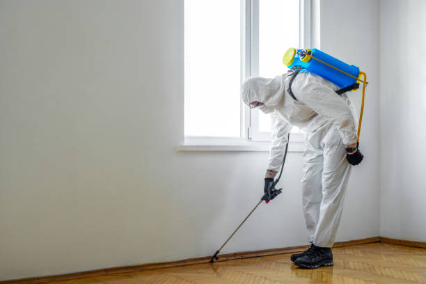 Wildlife Control Services in Stonebridge, NJ