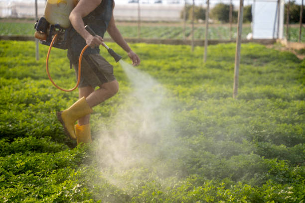 Best Pest Removal Services  in Stonebridge, NJ