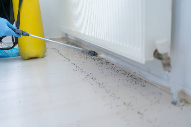 Best Pest Control for Homes  in Stonebridge, NJ